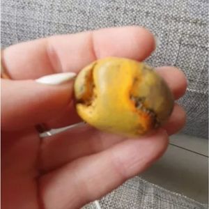Genuine real bumblebee jasper egg shape sphere new tumbled raw beautiful